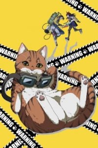 Ночь живых кошаков