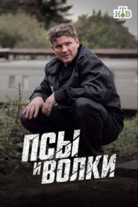 Псы и волки